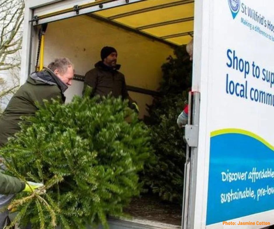 Photo shows Christmas trees being loaded into a St Wilfrid's Hospice van for recycling